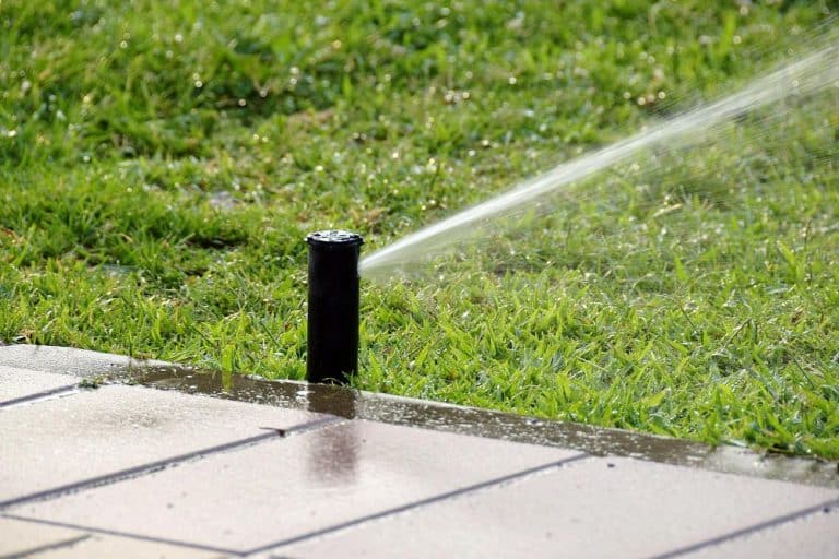 Nawadnianie ogrodu – czy warto zainwestować w zestaw do nawadniania?